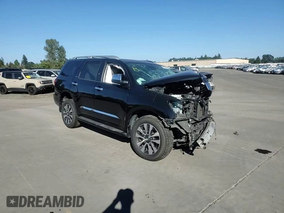 2019 Toyota Sequoia Limited with VIN 5TDJY5G11KS171719, listed as a Copart auction lot 69651034 with 0 mi miles and Salvage Title. Bid and sale history available at carsss.com. Image 11.