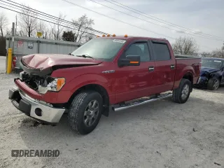 2013 Ford F-150 XL with VIN 1FTFW1EF5DFA72956, listed as a Copart auction lot 49891245 with 142,672 mi miles and Salvage Title. Bid and sale history available at DreamBid. Image 1.