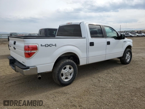 2013 Ford F-150 XL z VIN 1FTFW1EF8DFC06181, wystawiony jako Copart lot #48256795 z przebiegiem 147 939 mil mil oraz Szkoda całkowita • Salvage title. Historia ofert i sprzedaży dostępna na DreamBid. Obrazek 3.
