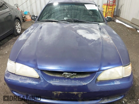 1998 Ford Mustang with VIN 1FAFP404XWF175772, listed as a IAAI auction lot 42686695 with 125,920 mi miles and . Bid and sale history available at DreamBid. Image 6.
