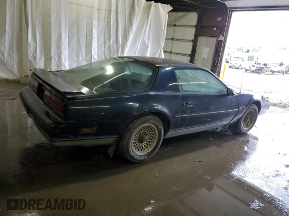 1987 Pontiac Firebird with VIN 1G2FS21S4HN213083, listed as a Copart auction lot 69101254 with 172,214 mi miles and Salvage title. Bid and sale history available at DreamBid. Image 3.