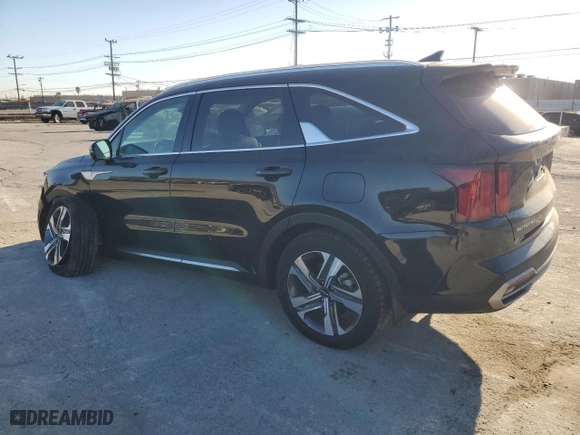 2024 Kia Sorento Hybrid SX Prestige with VIN KNDRKDLG0R5259914, listed as a Copart auction lot 81135314 with 8,707 mi miles and Salvage Title. Bid and sale history available at carsss.com. Image 2.