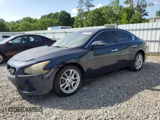 2009 Nissan Maxima SV with VIN 1N4AA51E09C857199, listed as a Copart auction lot 54757815 with 213,356 mi miles and Clean Title. Bid and sale history available at DreamBid. Image 1.