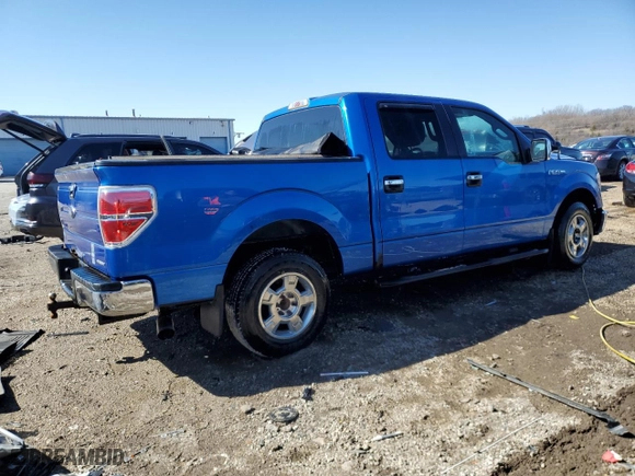 2013 Ford F-150 XL with VIN 1FTEW1CM4DFC15215, listed as a Copart auction lot 48983375 with 205,081 mi miles and Salvage Title. Bid and sale history available at carsss.com. Image 3.