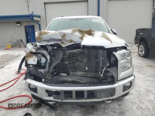 2016 Ford F-150 XLT with VIN 1FTEX1EP0GKE32809, listed as a Copart auction lot 42613805 with 0 mi miles and Clean Title. Bid and sale history available at carsss.com. Image 5.