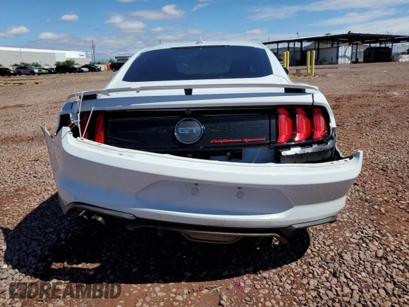 2021 Ford Mustang GT with VIN 1FA6P8CF9M5146397, listed as a Copart auction lot 58664255 with 19,236 mi miles and Salvage title. Bid and sale history available at DreamBid. Image 6.