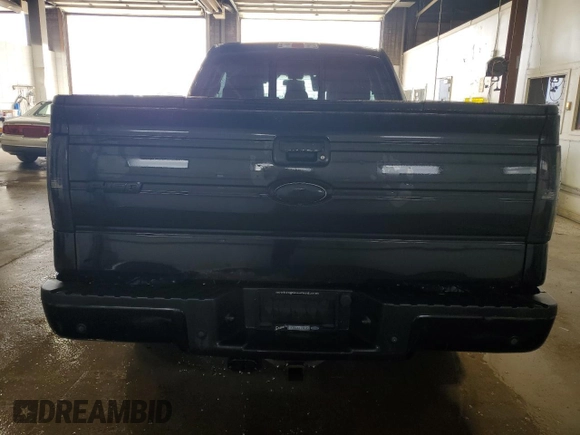 2013 Ford F-150 XL with VIN 1FTFX1ETXDKD54293, listed as a Copart auction lot 61966715 with 74,799 mi miles and Clean title. Bid and sale history available at DreamBid. Image 6.