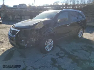 2014 Kia Sorento EX with VIN 5XYKUDA7XEG462941, listed as a Copart auction lot 84793014 with 0 mi miles and Salvage Title. Bid and sale history available at carsss.com. Image 1.