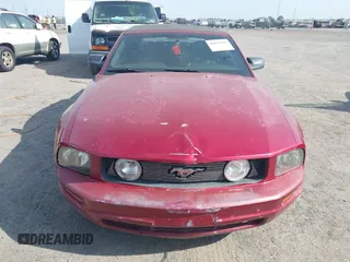 2006 Ford Mustang Standard with VIN 1ZVFT84N365190097, listed as a IAAI auction lot 42015242 with Not Provided miles and . Bid and sale history available at carsss.com. Image 6.
