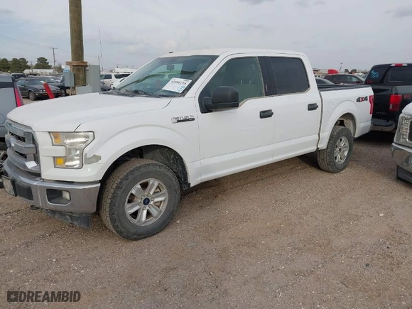 2017 Ford F-150 XL with VIN 1FTEW1EF5HKD46259, listed as a IAAI auction lot 41880218 with NaN miles. Bid and sale history available at carsss.com. Image 2.