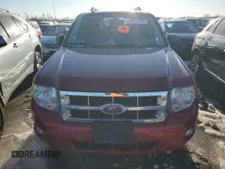 2008 Ford Escape XLT with VIN 1FMCU03198KB05556, listed as a Copart auction lot 42531975 with 105,277 mi miles and Salvage title. Bid and sale history available at DreamBid. Image 5.