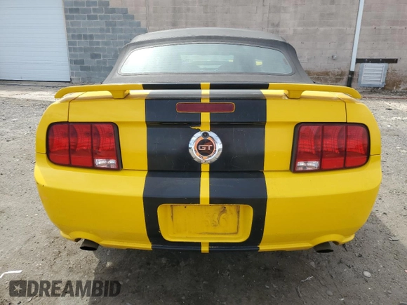 2005 Ford Mustang GT Deluxe with VIN 1ZVHT85H355249973, listed as a Copart auction lot 49499155 with 129,915 mi miles and Salvage Title. Bid and sale history available at DreamBid. Image 6.