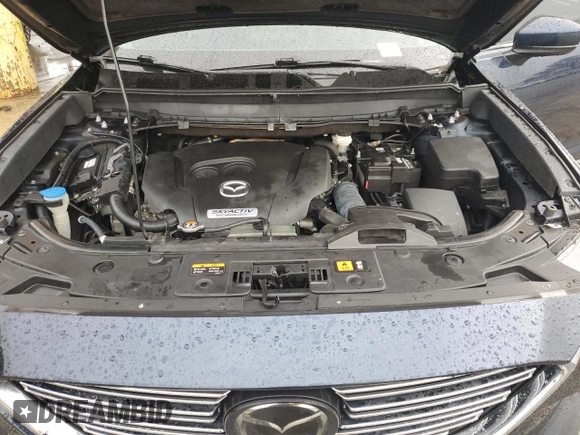 2018 Mazda CX-9 Touring with VIN JM3TCBCY2J0213719, listed as a Copart auction lot 44404045 with 121,517 mi miles and Clean Title. Bid and sale history available at carsss.com. Image 12.