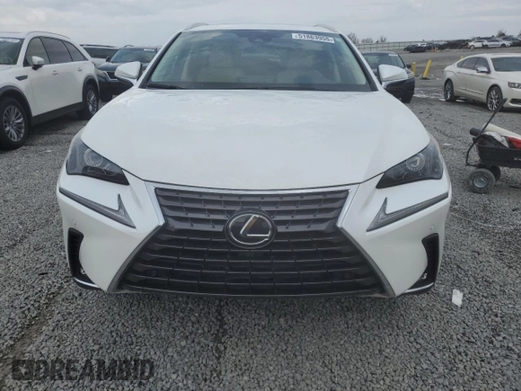 2020 Lexus NX 300 with VIN JTJGARDZ0L2218308, listed as a Copart auction lot 51863955 with 44,156 mi miles and Salvage Title. Bid and sale history available at DreamBid. Image 5.