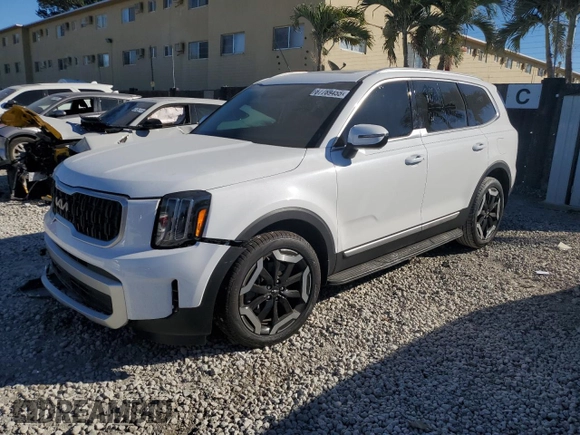 2024 Kia Telluride EX with VIN 5XYP34GC9RG564038, listed as a Copart auction lot 87789455 with 3,922 mi miles and Salvage Title. Bid and sale history available at DreamBid. Image 1.