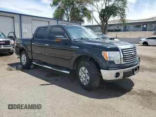 2010 Ford F-150 XL with VIN 1FTEW1E89AFB36912, listed as a Copart auction lot 59979485 with 99,476 mi miles and Salvage title. Bid and sale history available at DreamBid. Image 4.