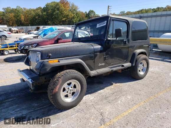 1994 Jeep Wrangler with VIN 1J4FY29S6RP411095, listed as a Copart auction lot 75920564 with 130,373 mi miles and Salvage Title. Bid and sale history available at carsss.com. Image 1.