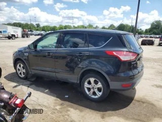 2013 Ford Escape SE с VIN 1FMCU9G99DUC87424, выставлен на аукционе Copart как лот 63191505 с пробегом 156 278 миль миль и Чистый • Clean title. История ставок и продаж доступна на DreamBid. Изображение 2.