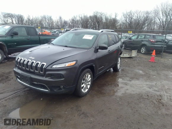 2016 Jeep Cherokee Limited with VIN 1C4PJMDSXGW121091, listed as a IAAI auction lot 41733807 with 196,455 mi miles and . Bid and sale history available at DreamBid. Image 19.