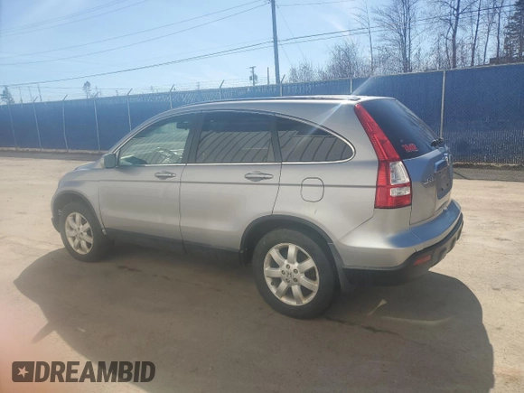 2007 Honda CR-V EX-L with VIN 5J6RE48727L808872, listed as a Copart auction lot 53890225 with 129,289 mi miles and Clean Title. Bid and sale history available at carsss.com. Image 2.