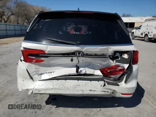 2024 Honda Odyssey EX-L with VIN 5FNRL6H66RB069509, listed as a Copart auction lot 47198505 with 3,341 mi miles and Salvage Title. Bid and sale history available at DreamBid. Image 6.