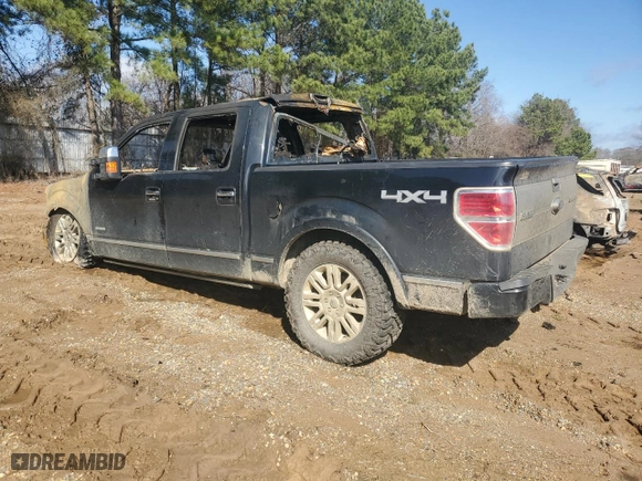 2014 Ford F-150 XL with VIN 1FTFW1ET2EFA54633, listed as a Copart auction lot 46620345 with 0 mi miles and Salvage Title. Bid and sale history available at carsss.com. Image 2.