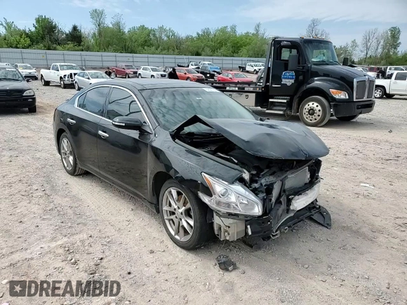 2011 Nissan Maxima SV with VIN 1N4AA5AP8BC800725, listed as a Copart auction lot 52021755 with Not Provided miles and Salvage Title. Bid and sale history available at DreamBid. Image 11.