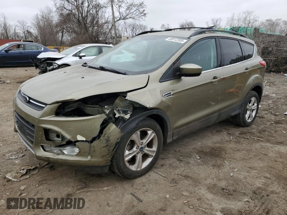 2013 Ford Escape SE with VIN 1FMCU0GX0DUC83899, listed as a Copart auction lot 48912205 with 102,476 mi miles and Salvage Title. Bid and sale history available at DreamBid. Image 1.