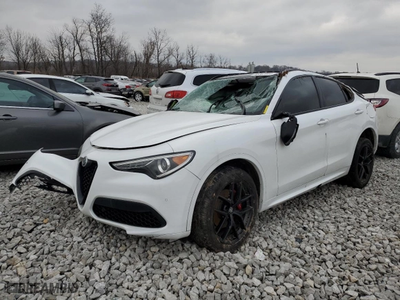 2020 Alfa Romeo Stelvio Ti with VIN ZASPAKBN9L7C76793, listed as a Copart auction lot 85367004 with 0 mi miles and Salvage Title. Bid and sale history available at carsss.com. Image 1.