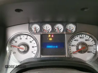 2009 Ford F-150 XL with VIN 1FTPX14V39FA22770, listed as a Copart auction lot 49878895 with 230,063 mi miles and Salvage Title. Bid and sale history available at carsss.com. Image 9.