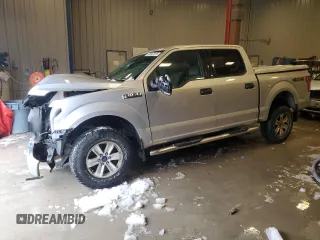 2016 Ford F-150 XLT with VIN 1FTEW1EF9GFB12875, listed as a Copart auction lot 51447015 with Not provided miles and Non repairable. Bid and sale history available at DreamBid. Image 1.