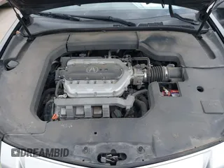 2009 Acura TL Tech with VIN 19UUA86579A015247, listed as a IAAI auction lot 41940650 with 227,334 mi miles. Bid and sale history available at carsss.com. Image 10.