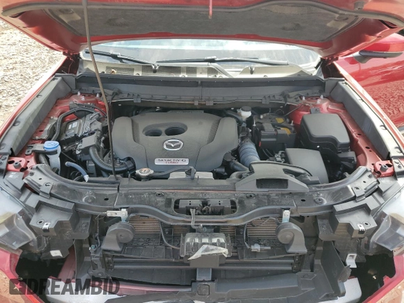 2022 Mazda CX-9 Grand Touring with VIN JM3TCBDY5N0619692, listed as a Copart auction lot 54533405 with 10,833 mi miles and Salvage title. Bid and sale history available at DreamBid. Image 11.