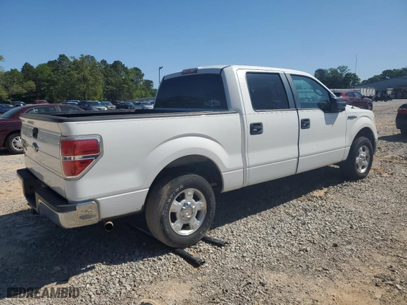 2010 Ford F-150 XL with VIN 1FTEW1C89AKE20633, listed as a Copart auction lot 52115755 with 225,443 mi miles and Salvage Title. Bid and sale history available at carsss.com. Image 3.