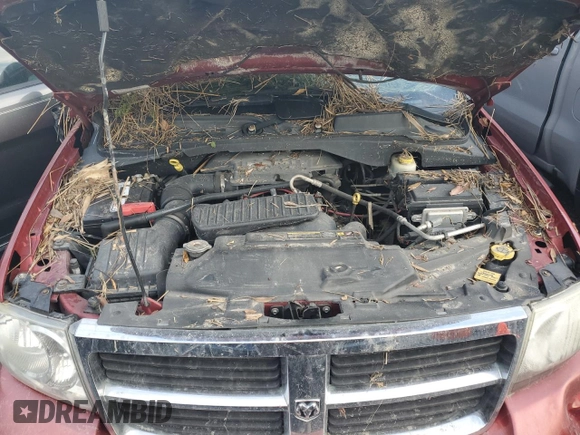 2007 Dodge Durango Limited with VIN 1D8HD58237F553552, listed as a Copart auction lot 74030204 with Not provided miles and Salvage title. Bid and sale history available at DreamBid. Image 12.