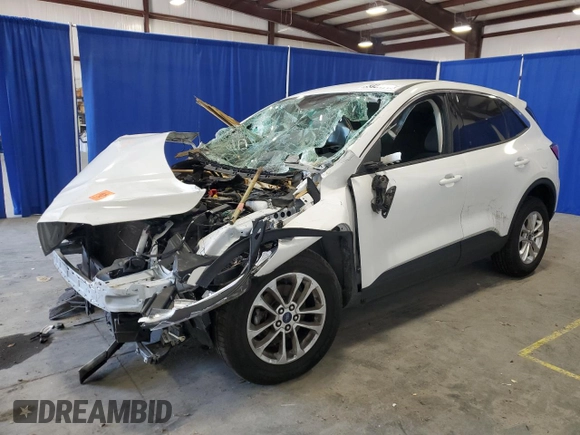 2022 Ford Escape SE with VIN 1FMCU9G61NUA60865, listed as a Copart auction lot 53149995 with Not provided miles and Salvage title. Bid and sale history available at DreamBid. Image 1.