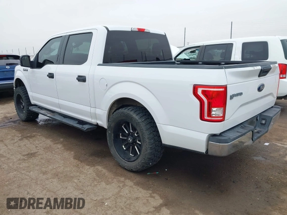 2017 Ford F-150 XL with VIN 1FTEW1C88HKD75257, listed as a IAAI auction lot 41516407 with 107,099 mi miles and . Bid and sale history available at DreamBid. Image 3.