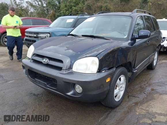 2005 Hyundai Santa Fe GLS with VIN KM8SC73D45U943575, listed as a IAAI auction lot 41676922 with 265,333 mi miles. Bid and sale history available at carsss.com. Image 18.