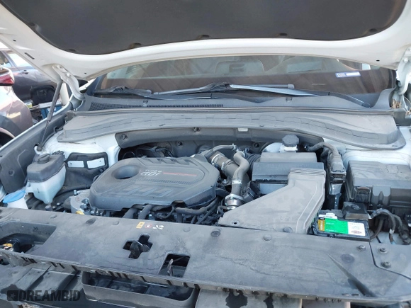 2019 Hyundai Santa Fe Limited with VIN 5NMS53AA8KH077883, listed as a IAAI auction lot 41884106 with 61,232 mi miles. Bid and sale history available at carsss.com. Image 10.