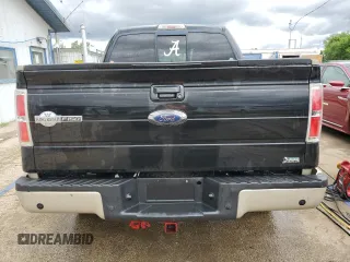 2010 Ford F-150 XL with VIN 1FTFW1EV7AKA98081, listed as a Copart auction lot 58248075 with 262,250 mi miles and Salvage title. Bid and sale history available at DreamBid. Image 6.