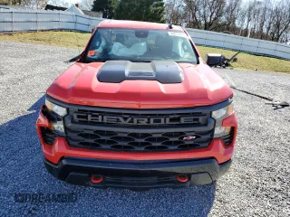 2024 Chevrolet Silverado 1500 Custom Trail Boss with VIN 3GCUDCED1RG192203, listed as a Copart auction lot 48059095 with 0 mi miles and Salvage Title. Bid and sale history available at carsss.com. Image 5.