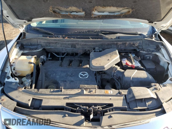 2010 Mazda CX-9 Touring with VIN JM3TB3MV0A0216308, listed as a Copart auction lot 47379445 with Not Provided miles and Clean Title. Bid and sale history available at carsss.com. Image 12.