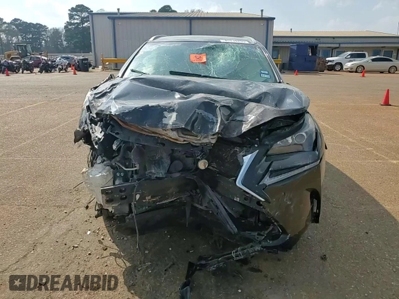 2017 Lexus NX with VIN JTJYARBZ6H2066520, listed as a Copart auction lot 49234295 with 0 mi miles and Salvage Title. Bid and sale history available at carsss.com. Image 11.