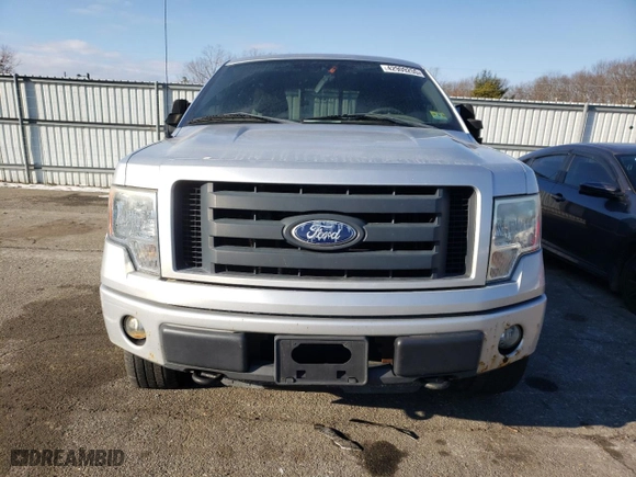 2010 Ford F-150 XL with VIN 1FTEX1EW2AFA85359, listed as a Copart auction lot 42909255 with 259,502 mi miles and Clean Title. Bid and sale history available at carsss.com. Image 5.