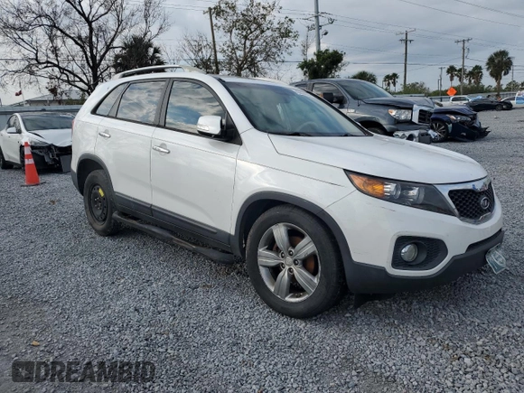 2012 Kia Sorento EX with VIN 5XYKU4A20CG291439, listed as a Copart auction lot 43806635 with 0 mi miles and Salvage Title. Bid and sale history available at carsss.com. Image 4.