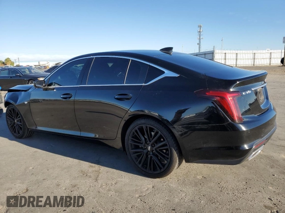 2022 Cadillac CT5 Luxury with VIN 1G6DM5RKXN0131261, listed as a Copart auction lot 81744714 with 32,997 mi miles and Salvage Title. Bid and sale history available at carsss.com. Image 2.