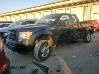 2014 Ford F-150 XL with VIN 1FTEX1EM9EFB36781, listed as a Copart auction lot 47213585 with 98,078 mi miles and Non repairable. Bid and sale history available at DreamBid. Image 1.