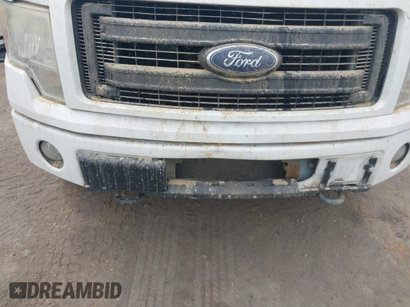 2013 Ford F-150 XL with VIN 1FTEX1EM1DFD75952, listed as a IAAI auction lot 42112875 with 171,472 mi miles and . Bid and sale history available at DreamBid. Image 6.