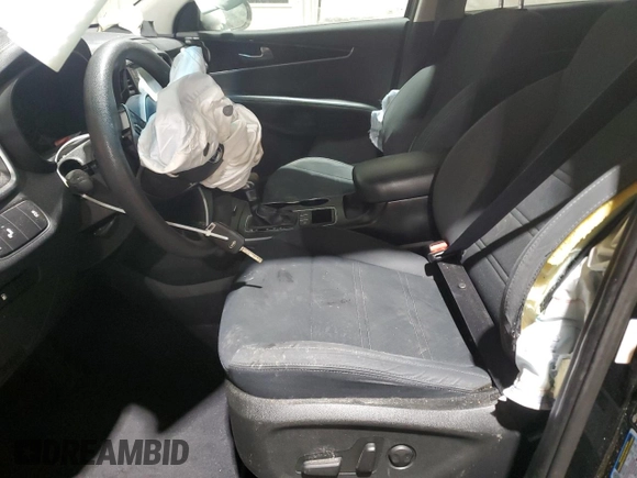 2019 Kia Sorento S with VIN 5XYPG4A5XKG489659, listed as a Copart auction lot 87430664 with Not Provided miles and Salvage Title. Bid and sale history available at DreamBid. Image 7.