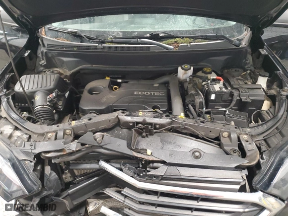 2019 Chevrolet Equinox LS with VIN 2GNAXSEV4K6210182, listed as a Copart auction lot 45501265 with 143,556 mi miles and Salvage Title. Bid and sale history available at carsss.com. Image 12.
